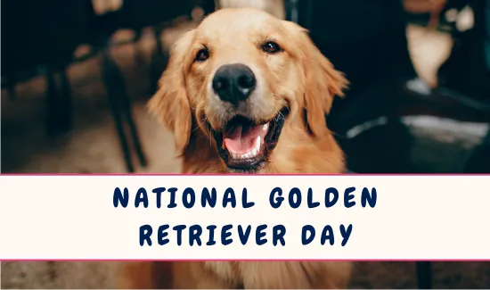 National Golden Retriever Day
