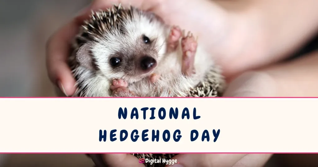 National Hedgehog Day February 2