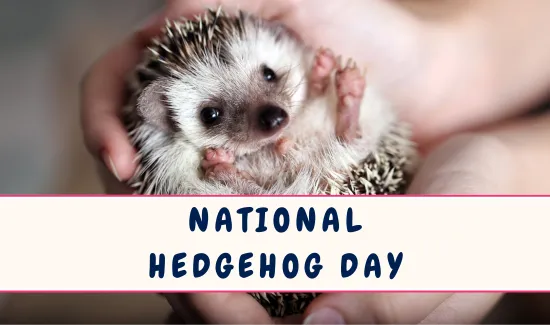 National Hedgehog Day