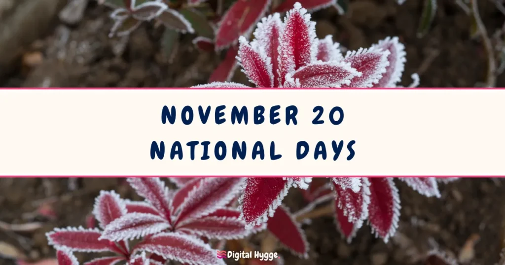 November 20 National Days