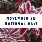November 28 National Days