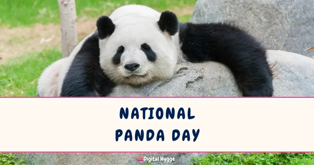 National Panda Day March 16