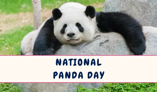 National Panda Day