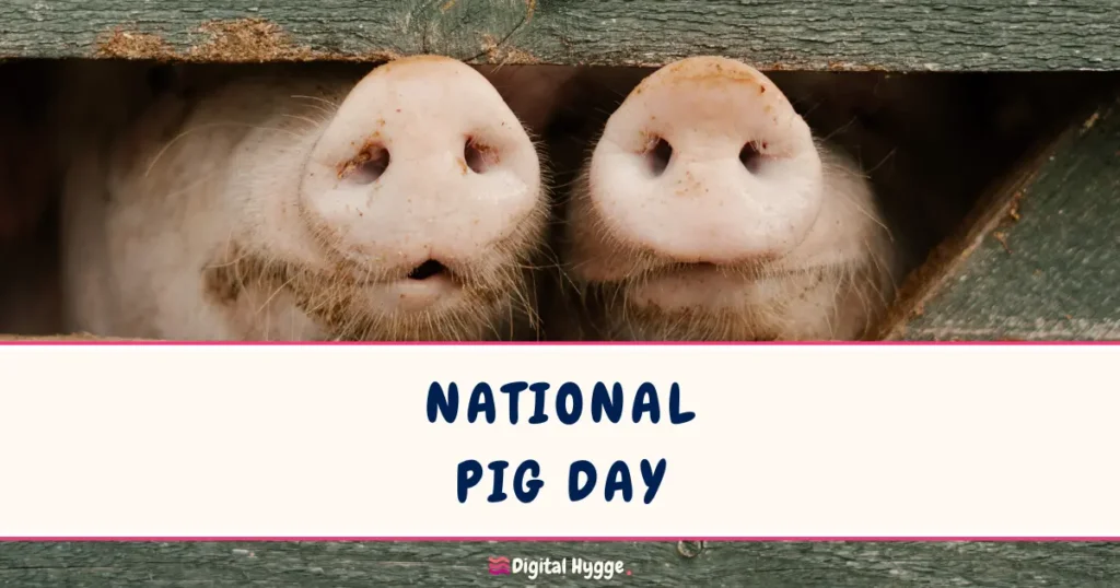 National Pig Day March 1