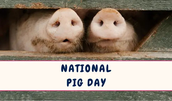 National Pig Day