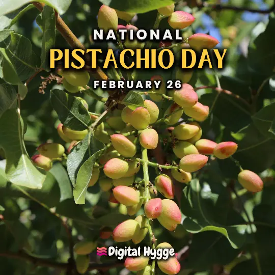 National Pistachio Day on February 26