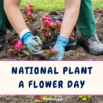 National Plant a Flower Day