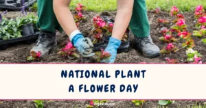 National Plant a Flower Day