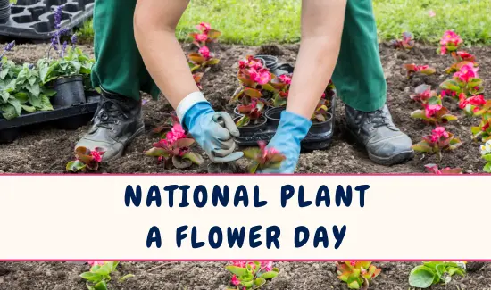 National Plant a Flower Day