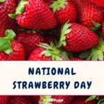 National Strawberry Day