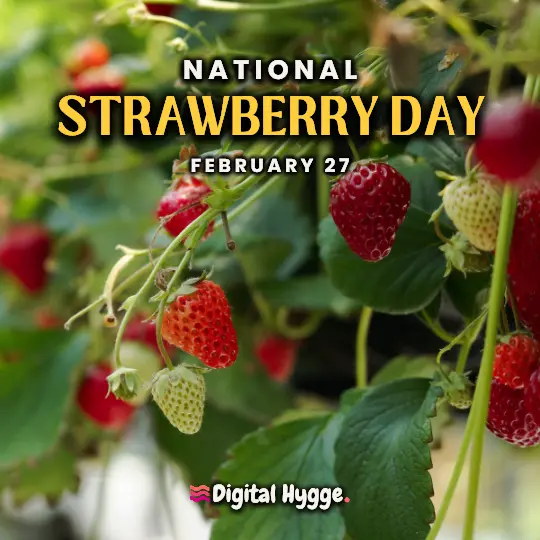 National Strawberry Day on February 27