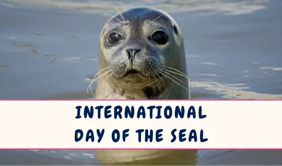International Day of the Seal