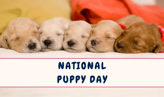 National Puppy Day
