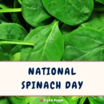 National Spinach Day