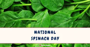 National Spinach Day