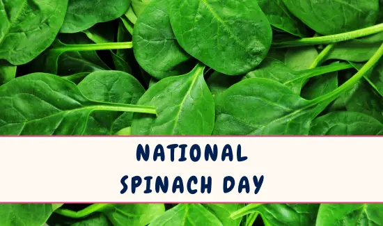 National Spinach Day