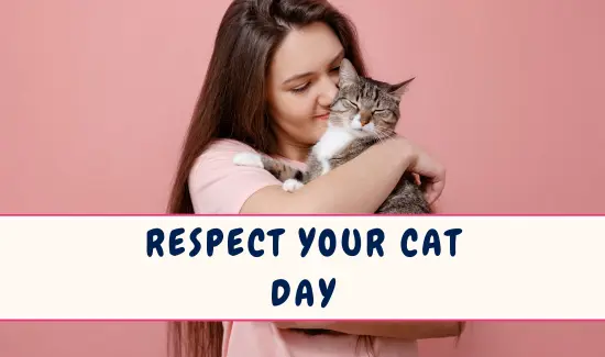 Respect Your Cat Day