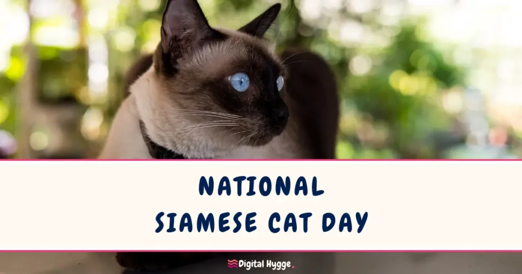 National Siamese Cat Day April 6