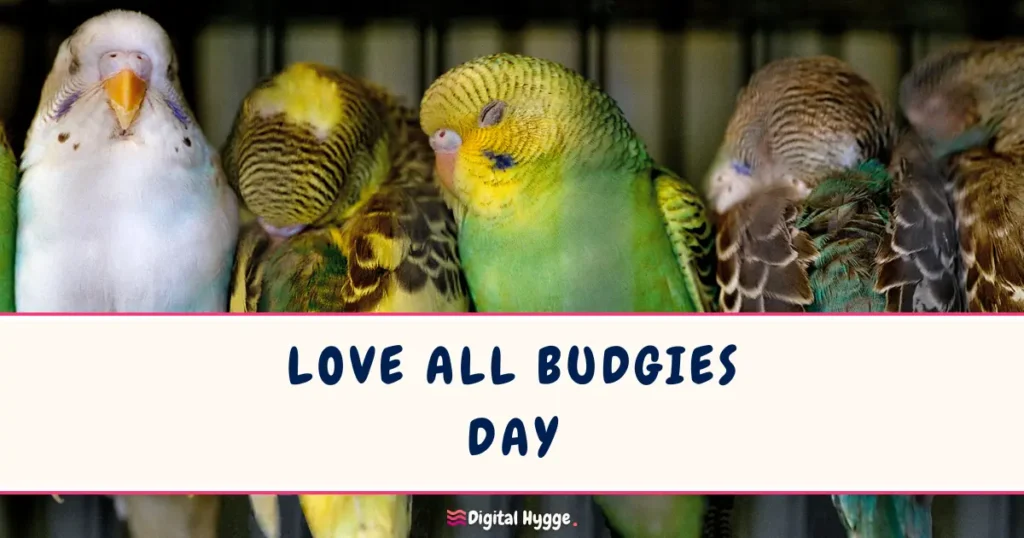 Love All Budgies Day July 1