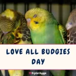 Love All Budgies Day