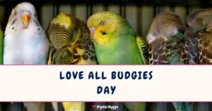 Love All Budgies Day