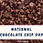 National Chocolate Chip Day