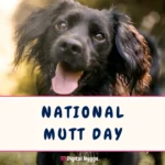 National Mutt Day