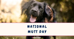 National Mutt Day