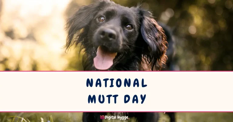 National Mutt Day July 31 and December 2