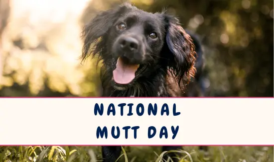 National Mutt Day July and December