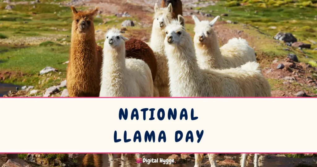 National Llama Day on December 9