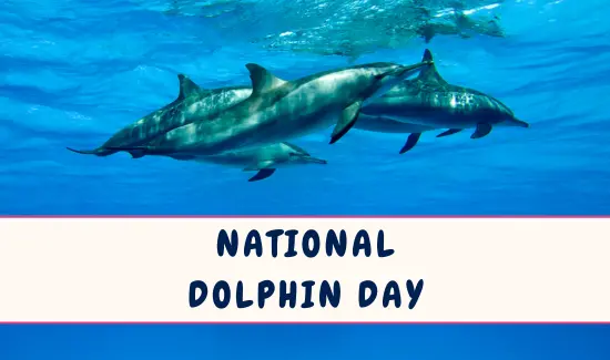 National Dolphin Day in April