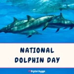 National Dolphin Day