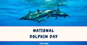 National Dolphin Day
