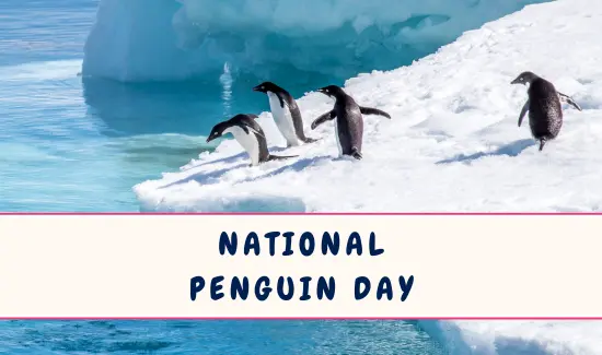 National Penguin Day in January