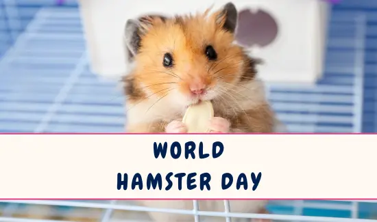 World Hamster Day in April