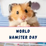 World Hamster Day
