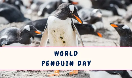 World Penguin Day in April