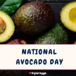 National Avocado Day