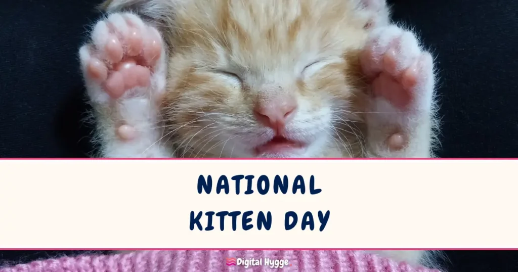 National Kitten Day on July 10