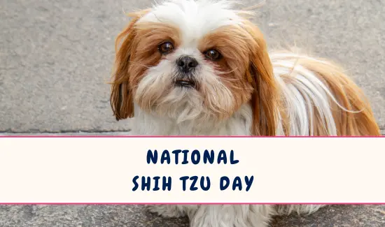 National Shih Tzu Day in July