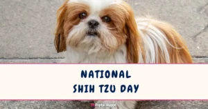 National Shih Tzu Day