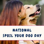 National Spoil Your Dog Day