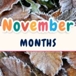 November Months